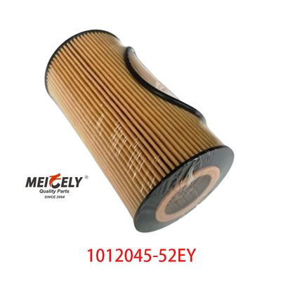 Oliefilter OEM 1012045-52EY Voor FAW Dachai Deutz
