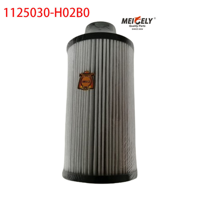 1125030-H02B0 Truckonderdelen Brandstoffilter voor Dongfeng Tianlong