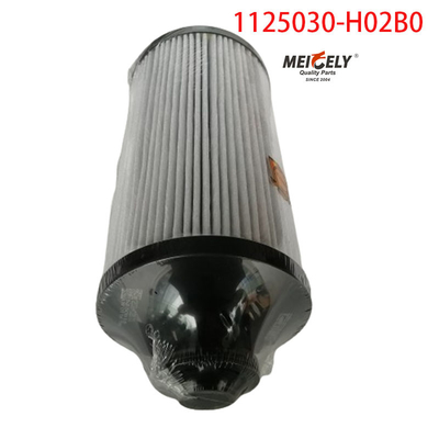 1125030-H02B0 Truckonderdelen Brandstoffilter voor Dongfeng Tianlong