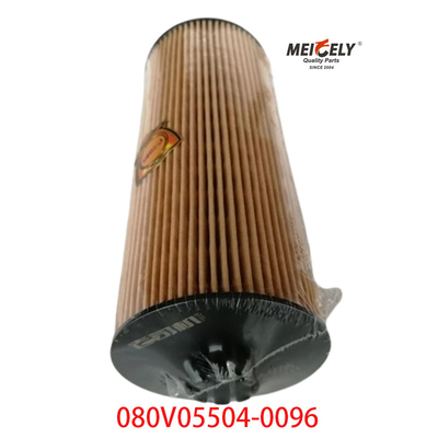 Voorraad OEM 080V05504-0096 Voor SINOTRUK Howo T5G Truck Oil Filter