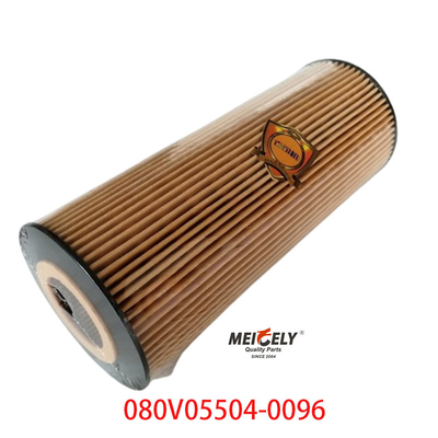 Voorraad OEM 080V05504-0096 Voor SINOTRUK Howo T5G Truck Oil Filter