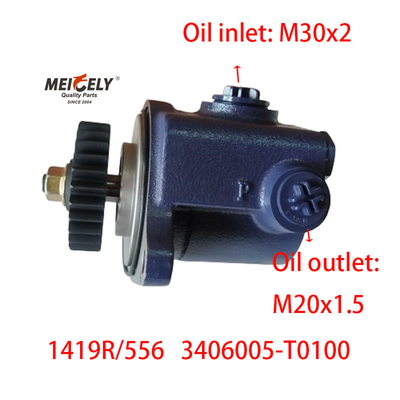 Blade Pump 1419R/556 DONGFENG RENAULT Servo stuurpomp