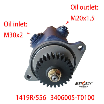 Blade Pump 1419R/556 DONGFENG RENAULT Servo stuurpomp