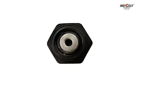 Fuso And Canter ME012586 Bolt Oil Jet Valve Voor alle modellen