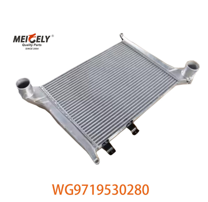 OEM WG9719530280 Voor Howo Intercooler Assembly WG9719530281