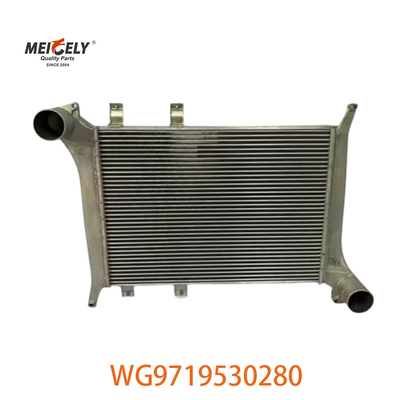 OEM WG9719530280 Voor Howo Intercooler Assembly WG9719530281