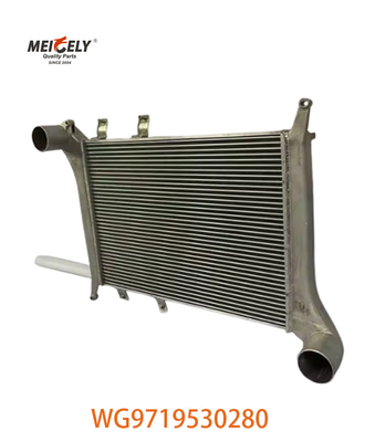 OEM WG9719530280 Voor Howo Intercooler Assembly WG9719530281