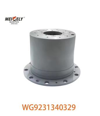 Oorspronkelijke WG9231340329 Planetary Assembly Picture Display Voor SINOTRUK HOWO Auto Model