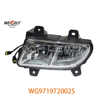 Sinotruk Howo motor zware vrachtwagen gegroepeerde lichten WG9719720025 WG9719720001