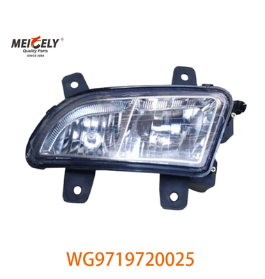 Sinotruk Howo motor zware vrachtwagen gegroepeerde lichten WG9719720025 WG9719720001