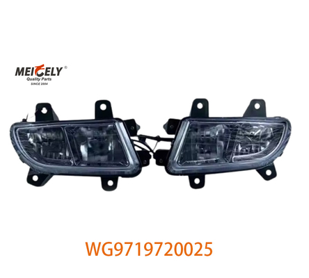 Sinotruk Howo motor zware vrachtwagen gegroepeerde lichten WG9719720025 WG9719720001