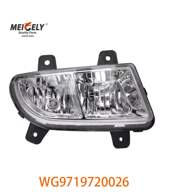 OE-nummer WG9719720026 Groepeerde lampen voor Sinotruk HOWO Wg9719720025 Foto-display