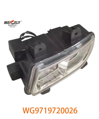 OE-nummer WG9719720026 Groepeerde lampen voor Sinotruk HOWO Wg9719720025 Foto-display