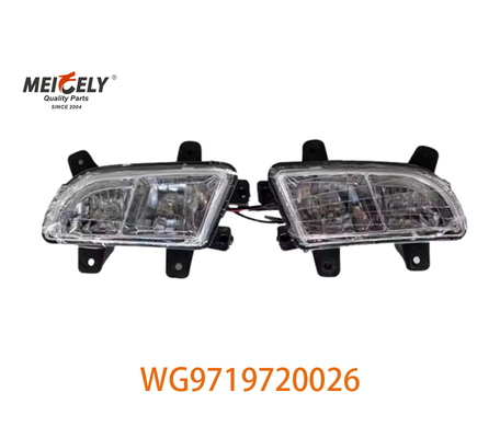 OE-nummer WG9719720026 Groepeerde lampen voor Sinotruk HOWO Wg9719720025 Foto-display