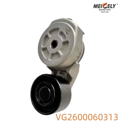 VG2600060313 Spanningspulley voor Howo