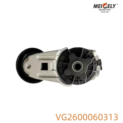 VG2600060313 Spanningspulley voor Howo
