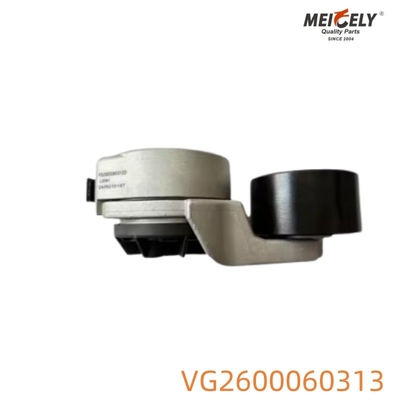 VG2600060313 Spanningspulley voor Howo