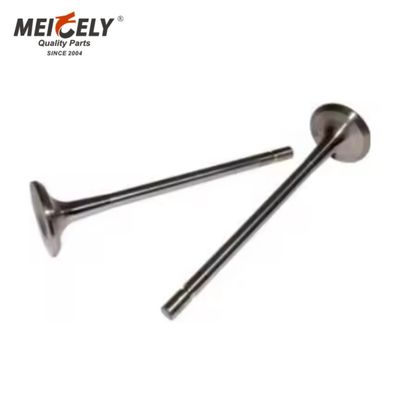 Kwaliteitsvolle motorkleppen C7.IN D6E.EX CI3.EX Inlaatklep Uitlaatklep voor machines