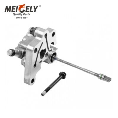 OEM 20411997 Brandstofpomp High Efficiency Diesel Fuel Supply Pump voor onderdelen voor zware vrachtwagens