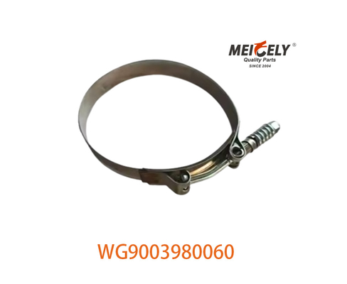 OEM WG9003980060 Sterke slangklem voor SINOTRUK HOWO