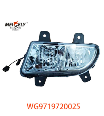 Sinotruk Howo motor zware vrachtwagen gegroepeerde lichten WG9719720025 WG9719720001